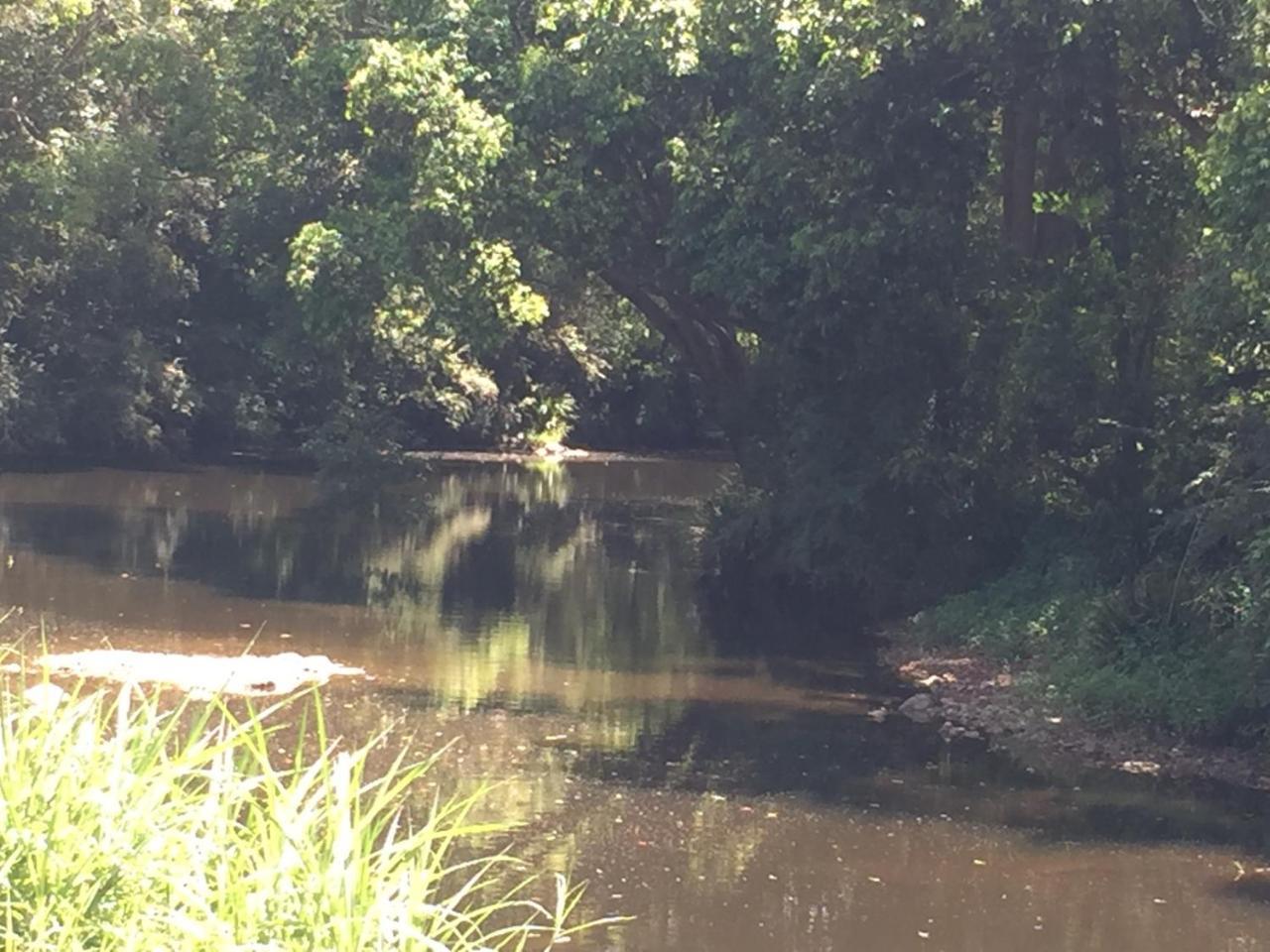Yandina Caravan Park Buitenkant foto